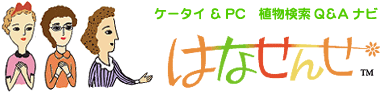 �P�[�^�C&PC�A������Q&A�i�r�͂Ȃ���