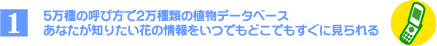 1�A5����ނ̌Ăѕ���2����ނ̐A���f�[�^�x�[�X