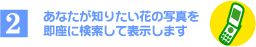 2�A���Ȃ����m�肽���Ԃ̎ʐ^�𑦍��Ɍ������ĕ\�����܂�